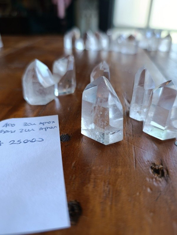 Producto - Lote 10  puntas Tameana x 6