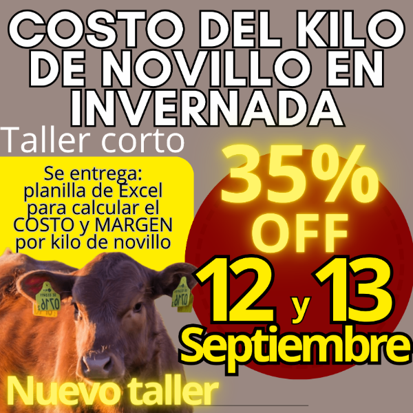 Producto - Taller corto: cálculo del costo del kilo de novillo - 0