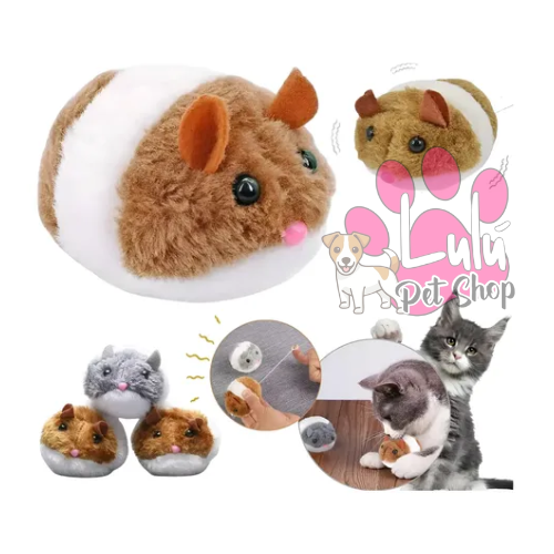 Producto - RATON A CUERDA N6