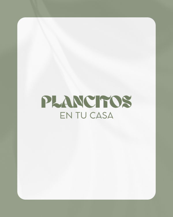 Producto - Plancitos en tu casa