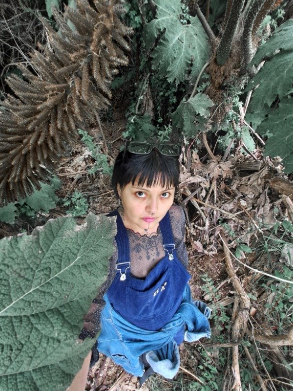 Producto - MEDIOCIELO pre order