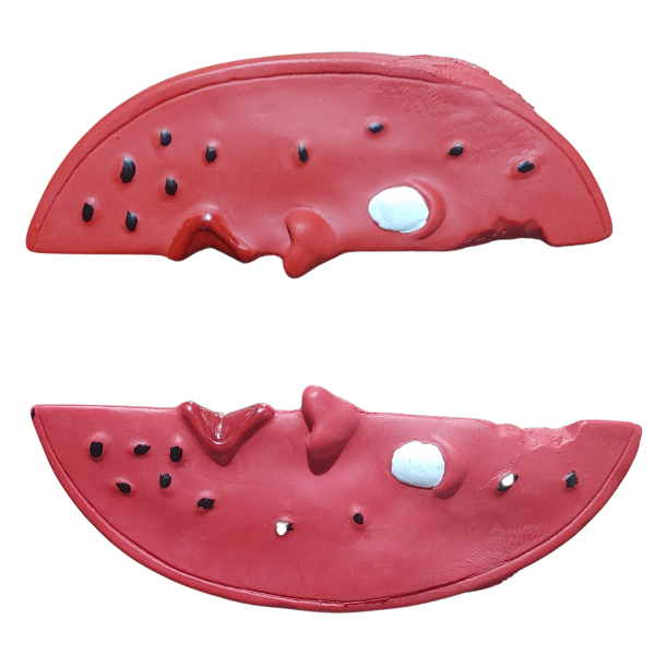 Producto - Juguete de Goma con Chifle para Perros - Sandía con Cara y Sonido. - 2