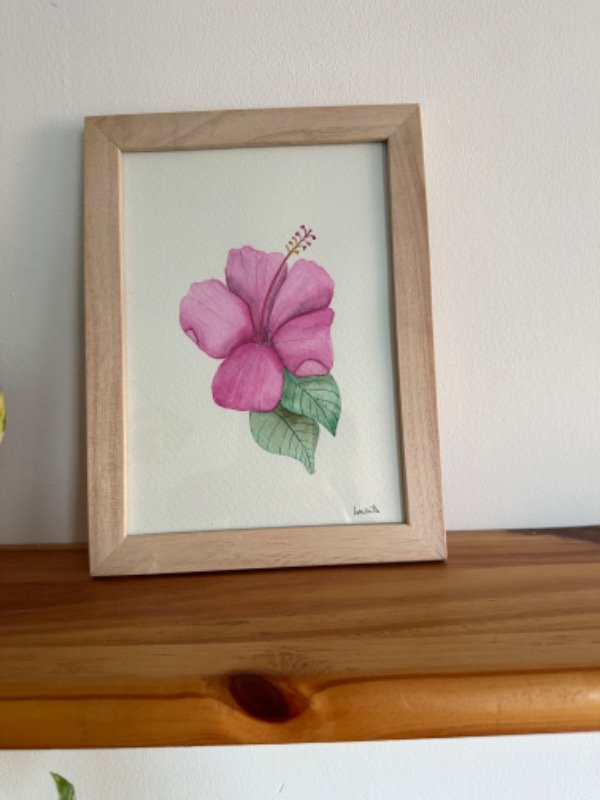 Producto - Rosa china