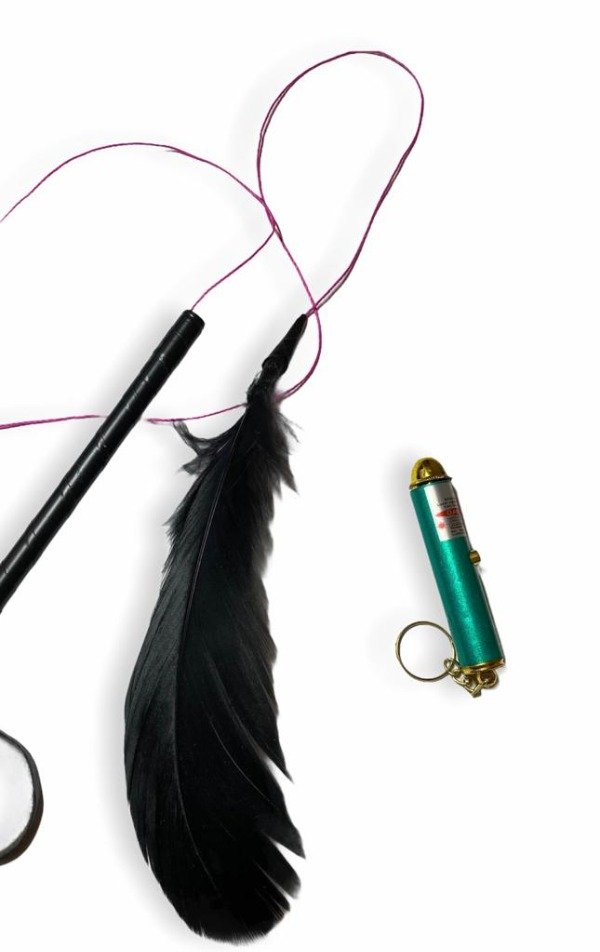 Producto - Kit Juguetes Para Gatos: Pluma Y Laser
