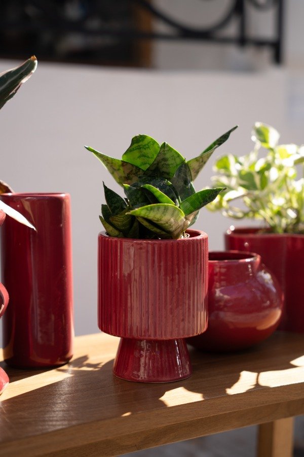 Producto - Maceta Copa
