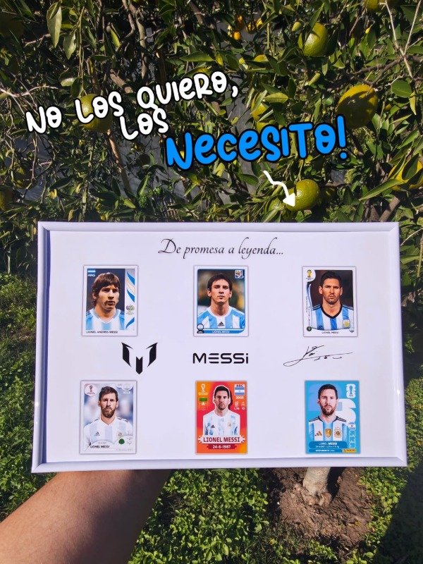 Producto - Cuadro Messi