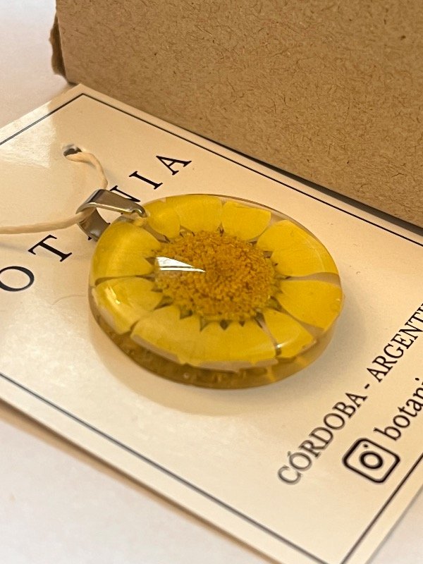 Producto - Margarita 2 - 1