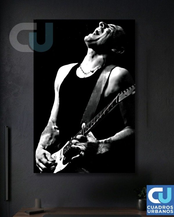 Producto - Divididos 8