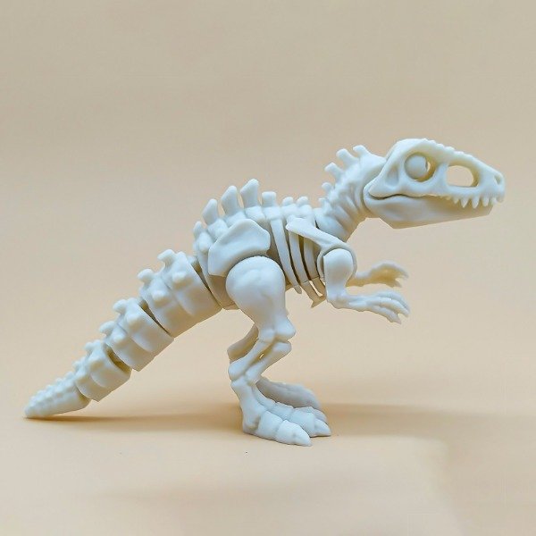 Producto - Esqueleto de Giganotosaurio - 3
