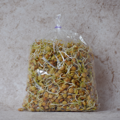 Producto - Brotes de Lenteja 160grs