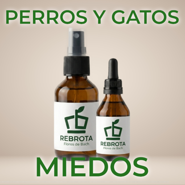 Producto - Miedos - Perros y gatos