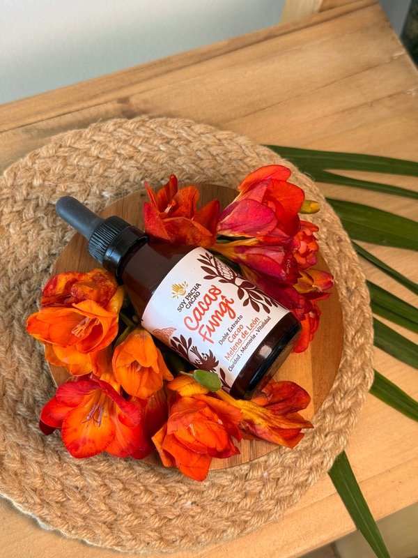 Producto - Tintura Madre Alquímica - Cacao y Melena de León - 60 ml