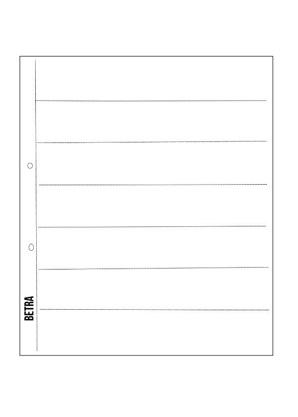 Producto - Hojas portanegativos - 10 unidades