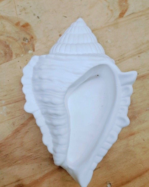 Producto - Caracol grande