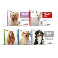 Producto - PIPETA POWER 5 a 10KG
