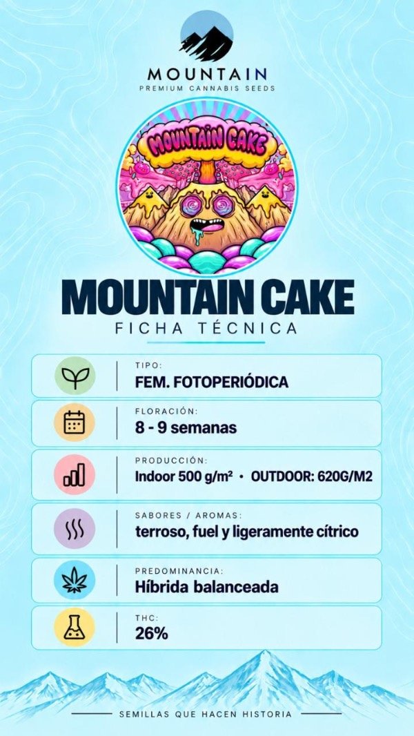 Producto - MOUNTAIN CAKE (3 unidades) - 1