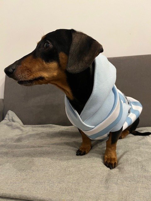 Producto - BUZO ARGENTINA