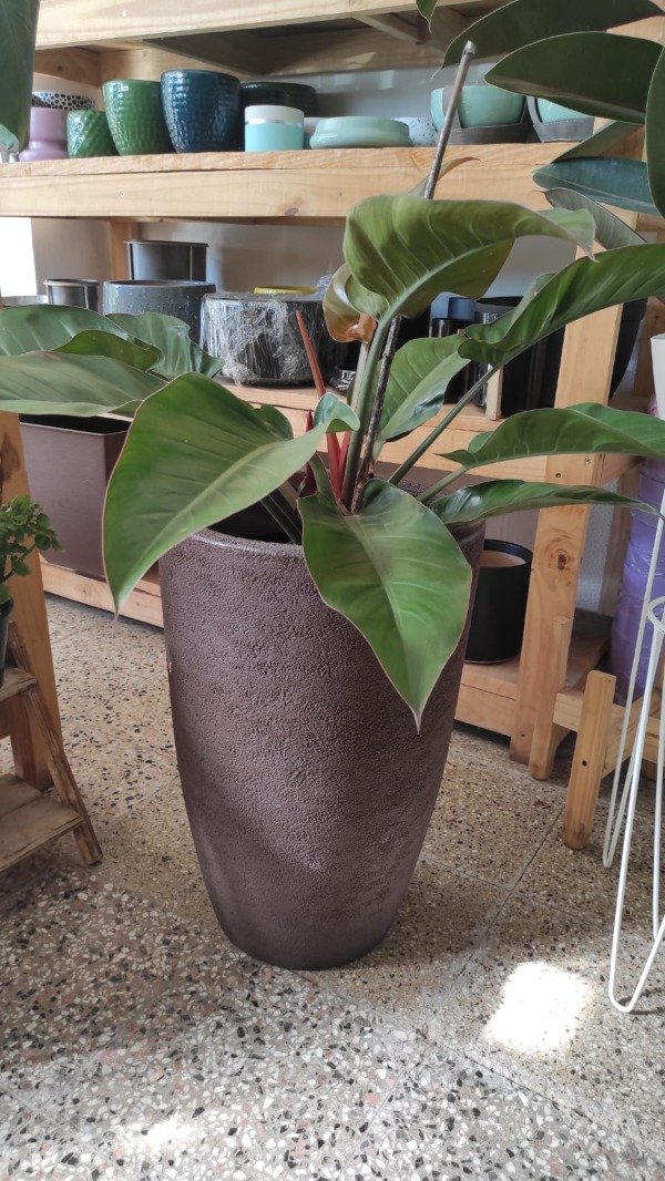 Producto - Maceta Inca 58 chocolate Rotomoldeado