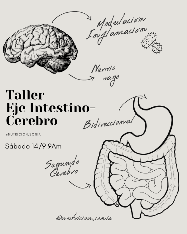 Producto - Nuevo Taller EJE INTESTINO-CEREBRO nutricion.sonia