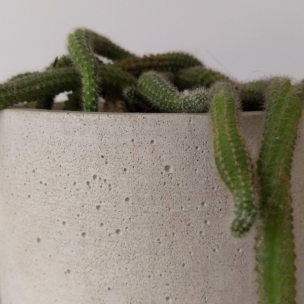 Producto - Maceta Cilindro Blanco #12 - 0