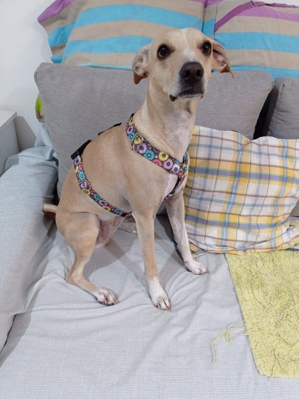 Miniatura de producto - 4