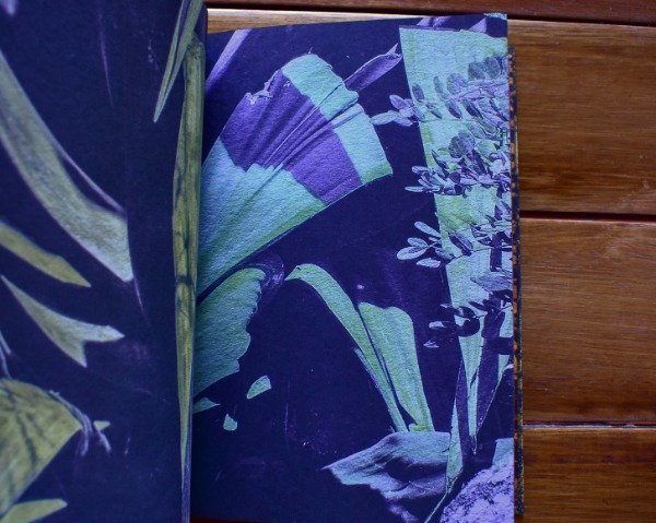 Miniatura de producto - 7