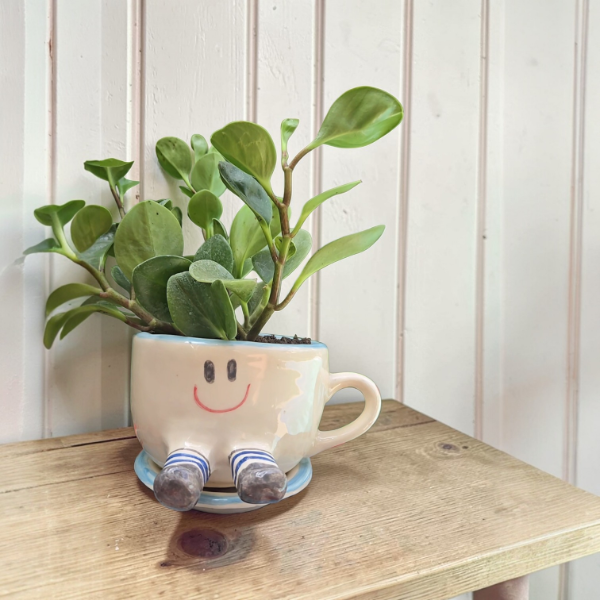 Producto - Maceta Taza Feliz