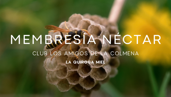 Producto - NÉCTAR ESENCIAL - 0