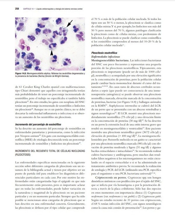 Producto - Cowell: Diagnóstico Citológico y Hematológico del Perro y el Gato, 5ta - 5