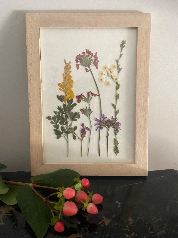 Producto - Mi jardin