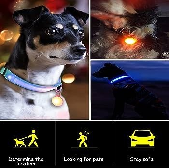 Producto - Aplique LED para mascotas