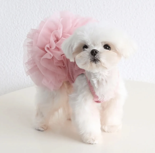 Producto - Vestido con tutu.