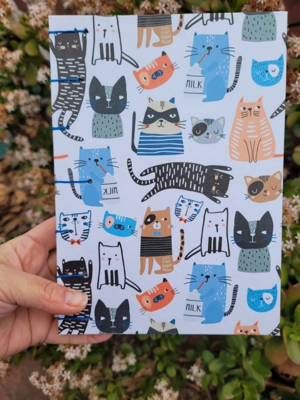 Producto - Gatitos copta