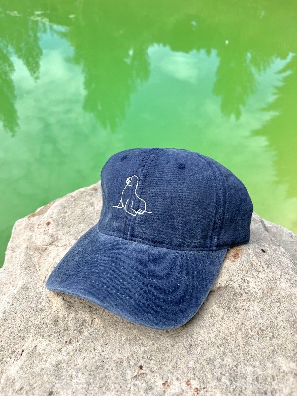 Producto - Lobo marino azul