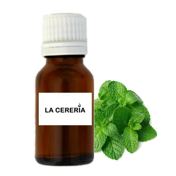 Producto - Esencia Menta