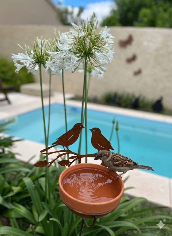 Producto - Bebedero para pájaros e insectos (pajaritos)