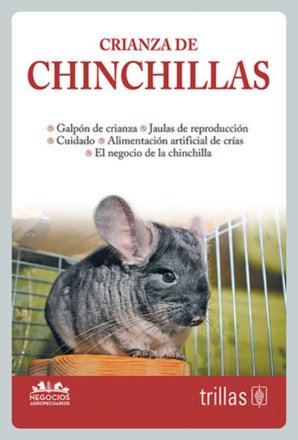 Producto - Crianza de Chinchillas