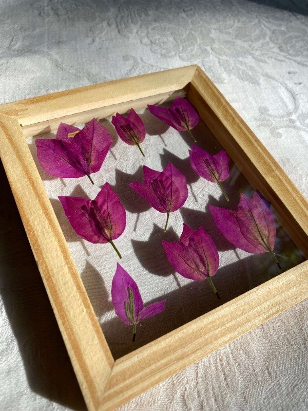 Producto - Santa Rita