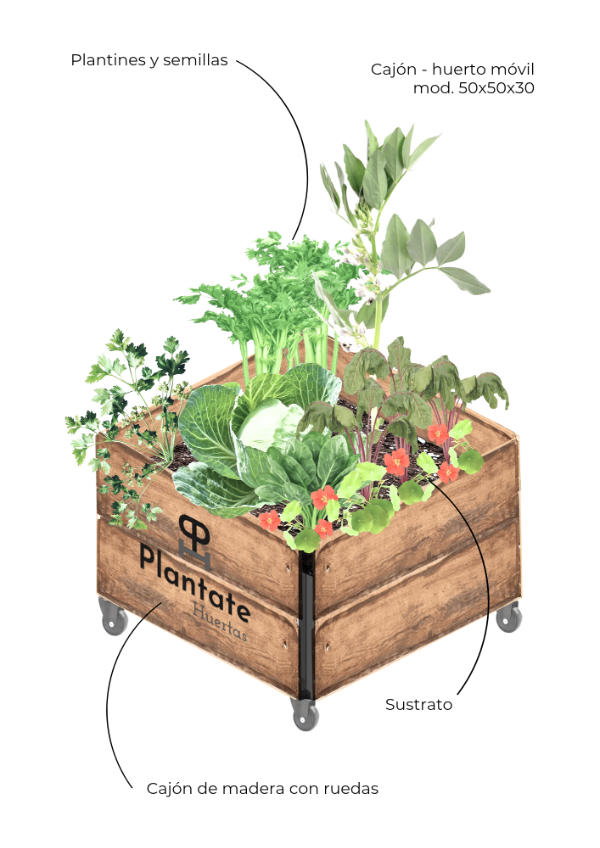 Miniatura de producto - 5