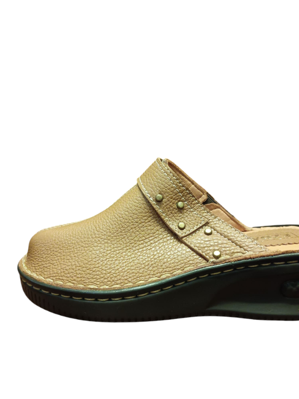 Producto - ED 2572 - 1