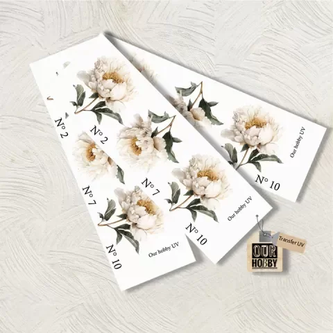 Producto - TRANSFER UV 080