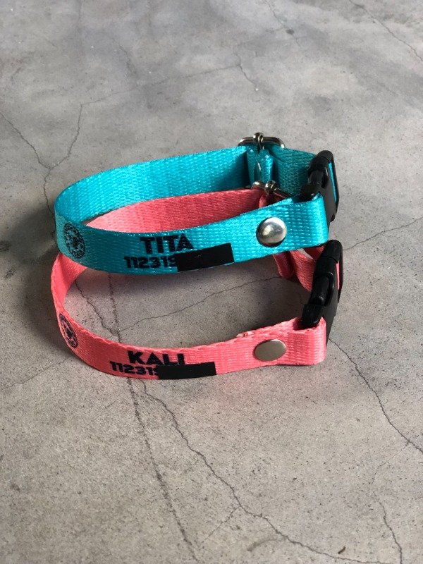 Producto - Collar Regulable - MIAU Colores lisos