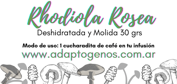 Producto - Rhodiola Rosea, 30 grs deshidratada y molida. Rodeola
