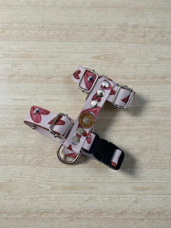 Producto - Pretal regulable H