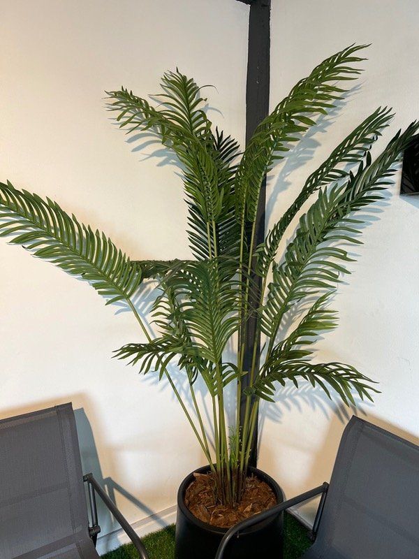 Producto - Planta Artificial Areca 1.80 mt