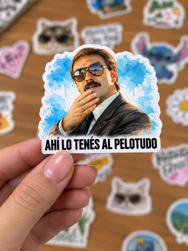 Producto - Stickers // Ahí lo tenes al pelotudo