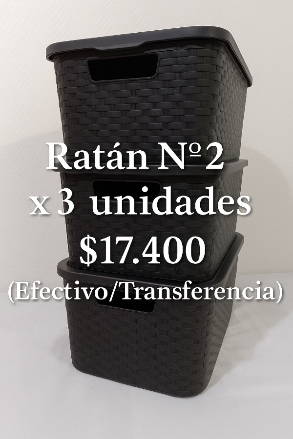 Producto - Canasto Organizador PACK X3 - MEDIANO RATÁN N2