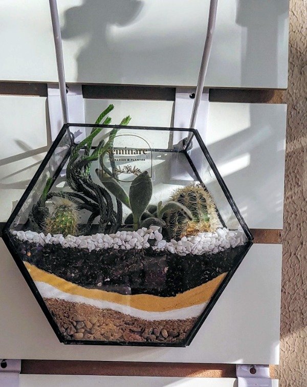 Producto - Terrario Hexagonal grande
