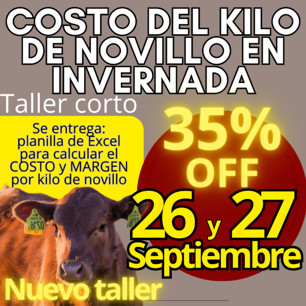 Producto - Taller corto: cálculo del costo del kilo de novillo - 0