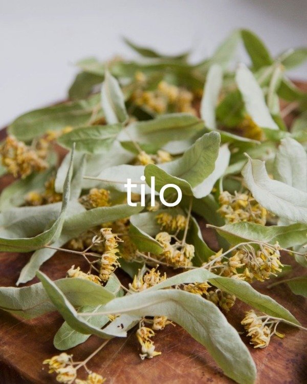 Producto - Esencia Tilo